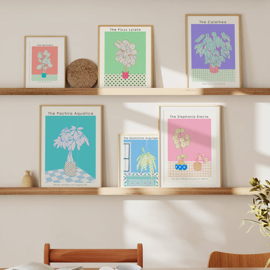 Lessons from the Green: The Shuu.Room Botanical Collection
