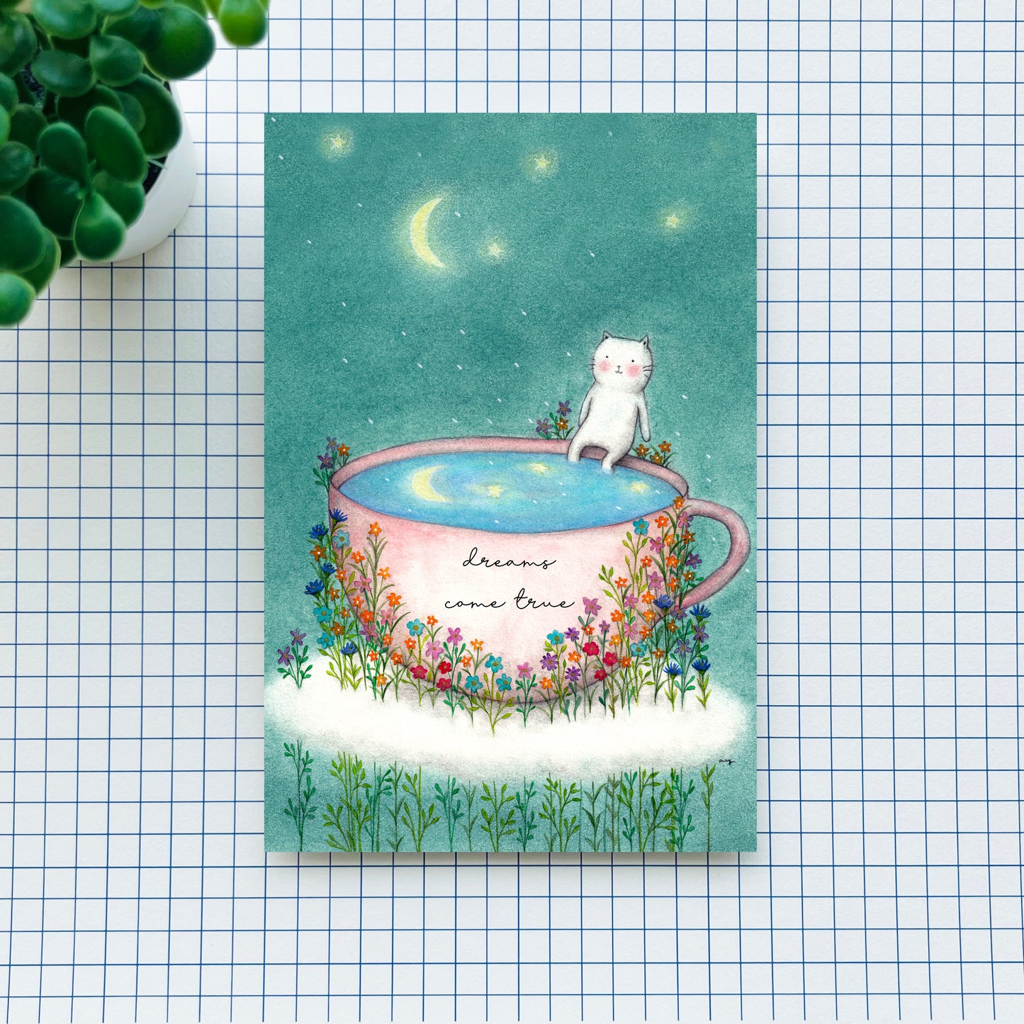 Dreams come true - Postcard