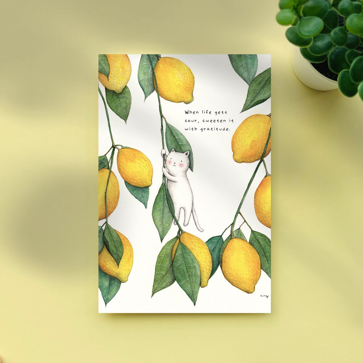 Lemons - Postcard