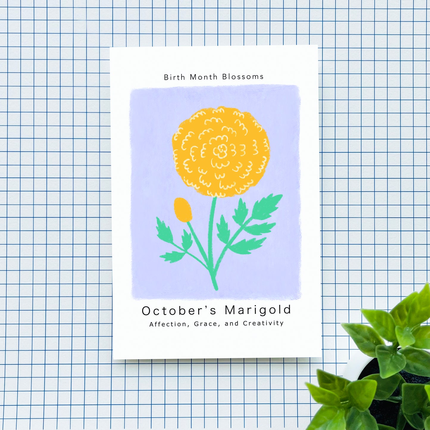 October's Marigold - Postcard