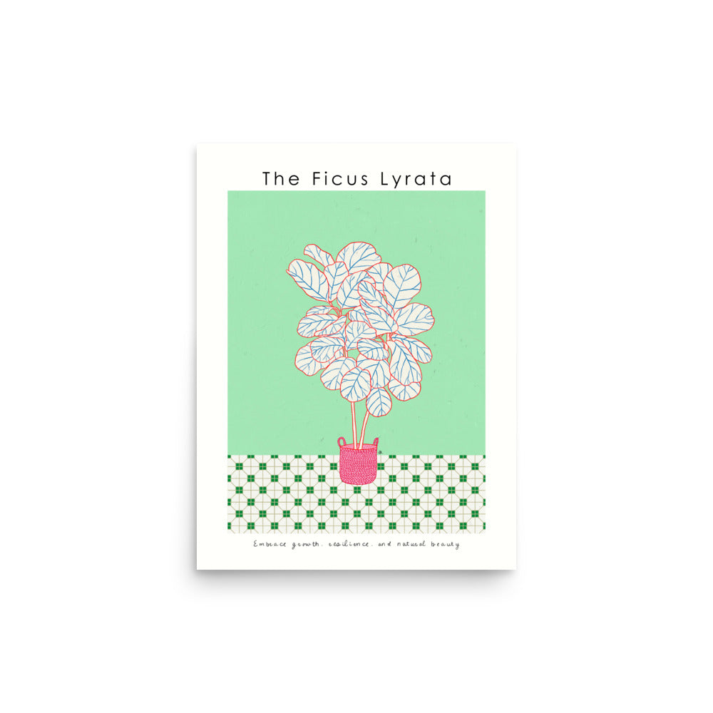 The Ficus Lyrata Poster | Shuu.Room Botanical Collection | Premium Quality