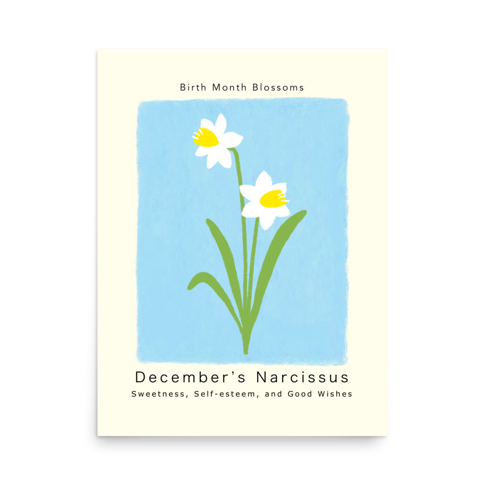 December's Narcissus - Poster