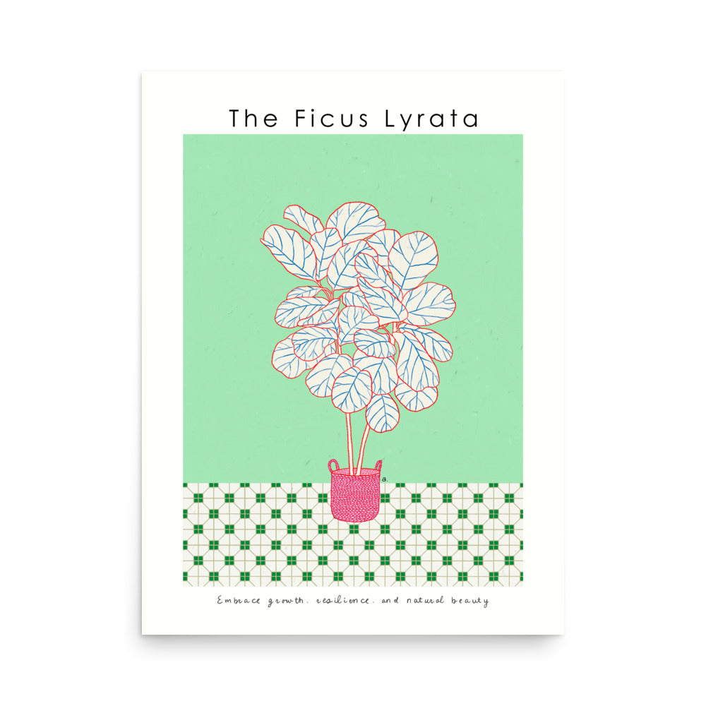 The Ficus Lyrata Poster | Shuu.Room Botanical Collection | Premium Quality