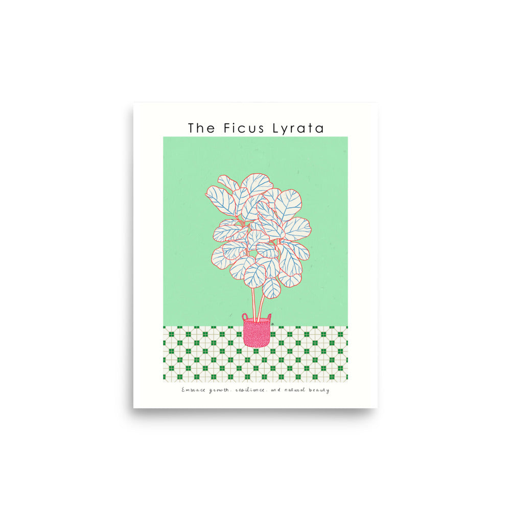 The Ficus Lyrata Poster | Shuu.Room Botanical Collection | Premium Quality