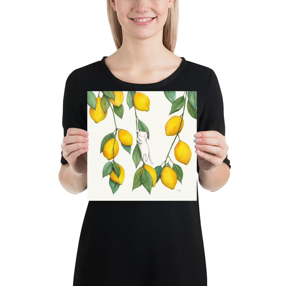 Lemons - Poster