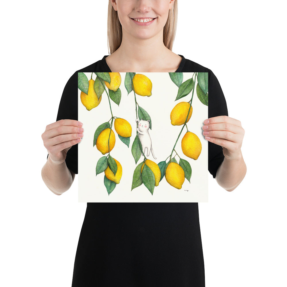 Lemons - Poster
