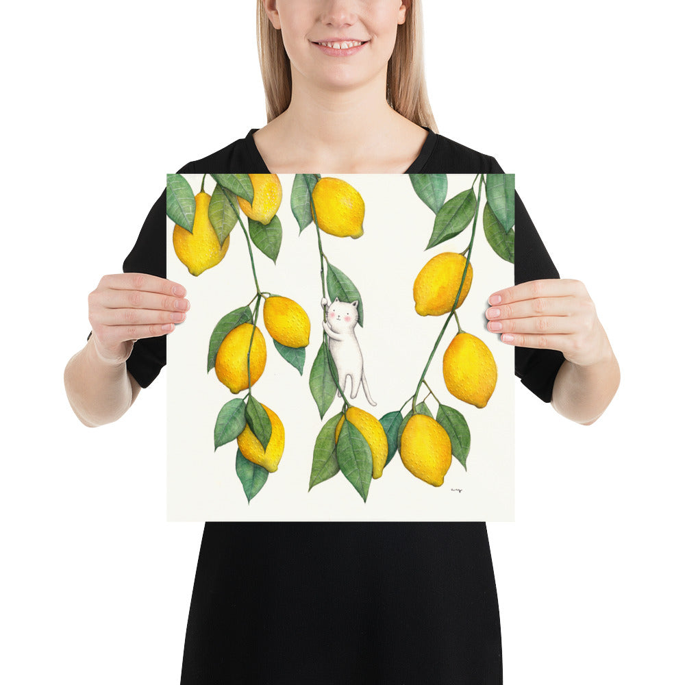 Lemons - Poster