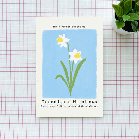 December's Narcissus - Postcard