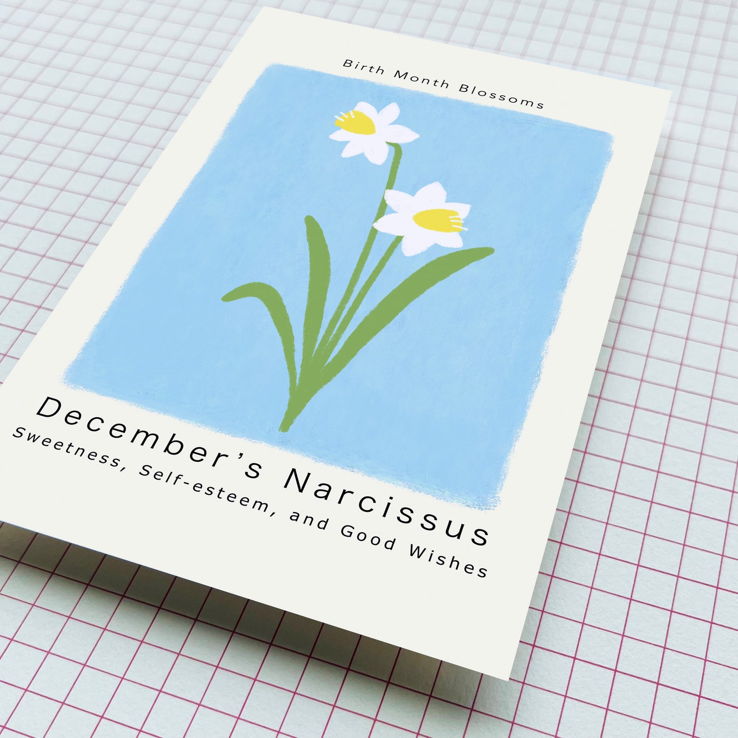 December's Narcissus - Postcard