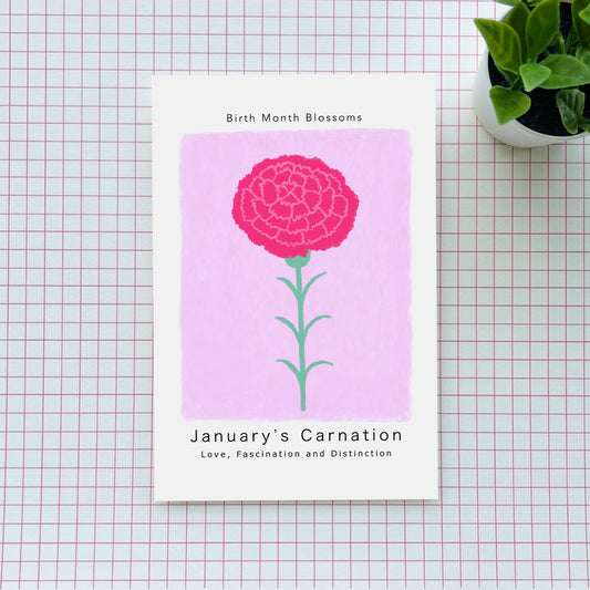 January's Carnation - Postcard