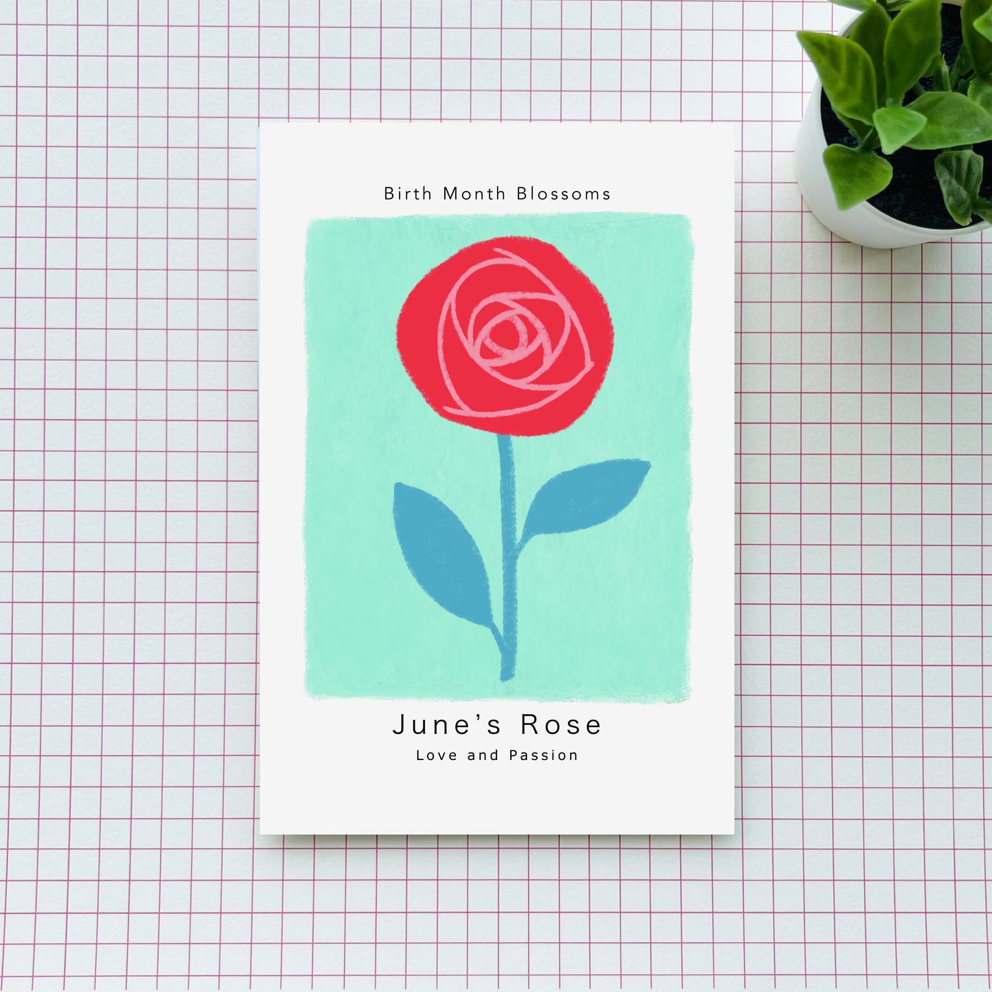 June's Rose - Postcard