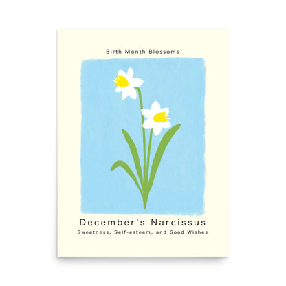 December's Narcissus - Poster