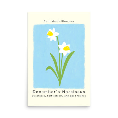 December's Narcissus - Poster